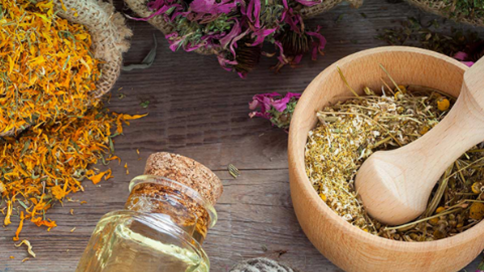طب سنتی و لزوم توجه به آن در زندگی روزمره