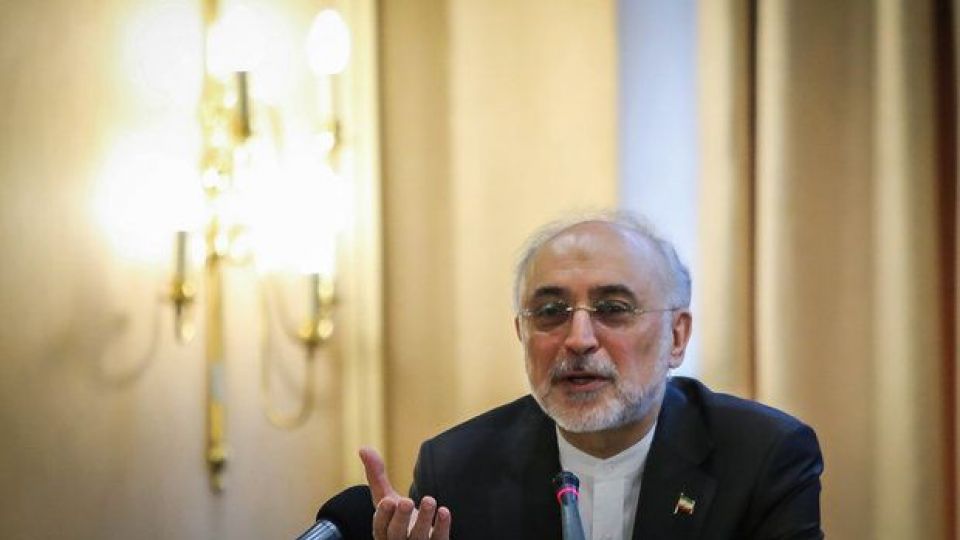 صالحی: متن بیانیه ایران و آژانس با شورای عالی امنیت ملی هماهنگ شده بود