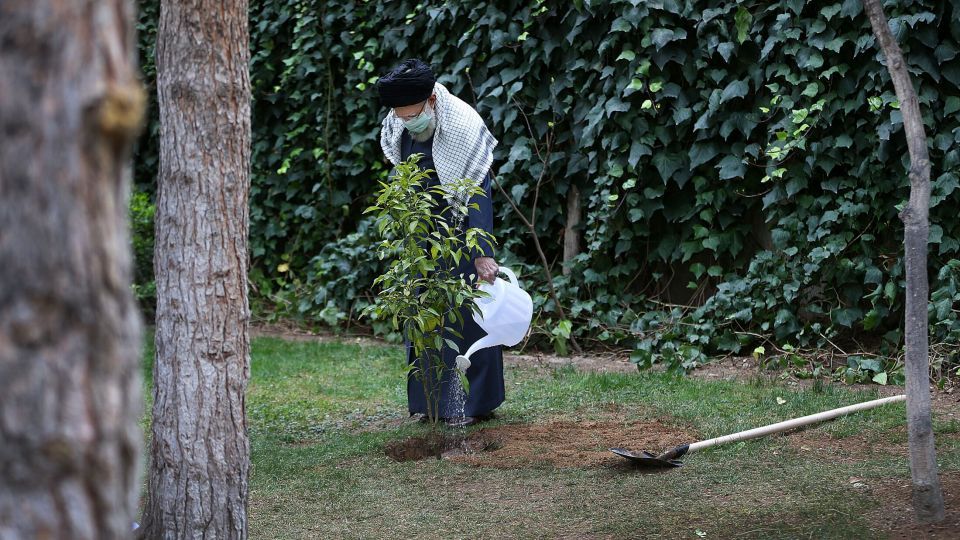 کاشت نهال توسط رهبر انقلاب در هفته منابع طبیعی