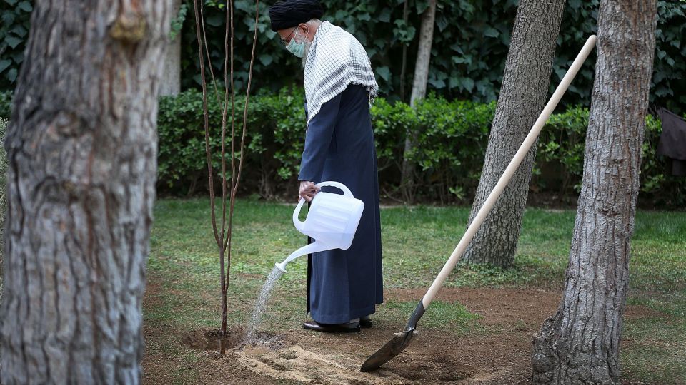 کاشت نهال توسط رهبر انقلاب در هفته منابع طبیعی