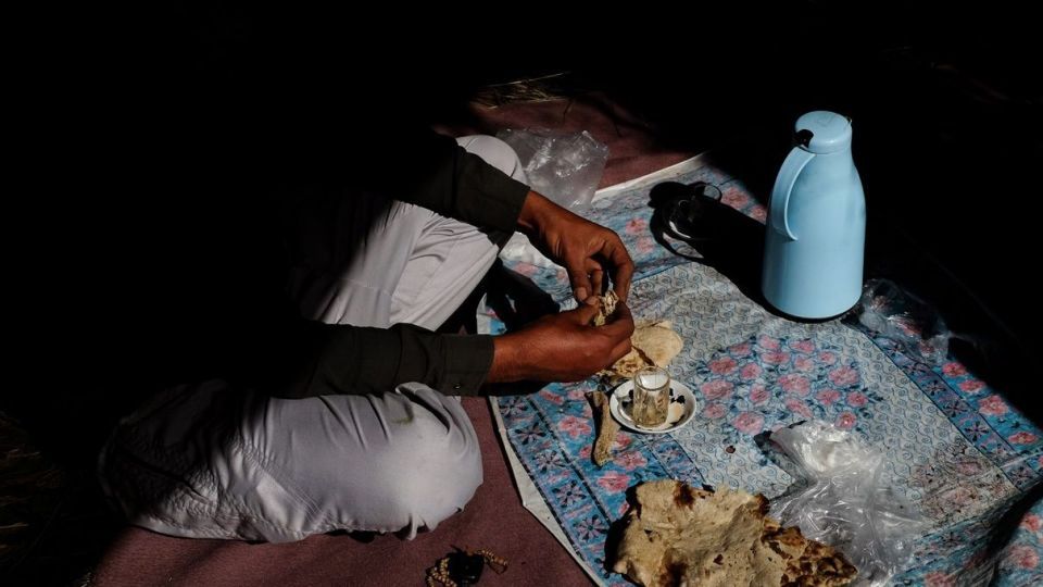 برداشت گل‌های بهاری - خوزستان