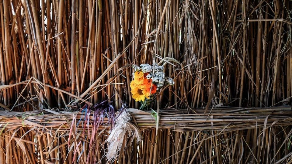 برداشت گل‌های بهاری - خوزستان