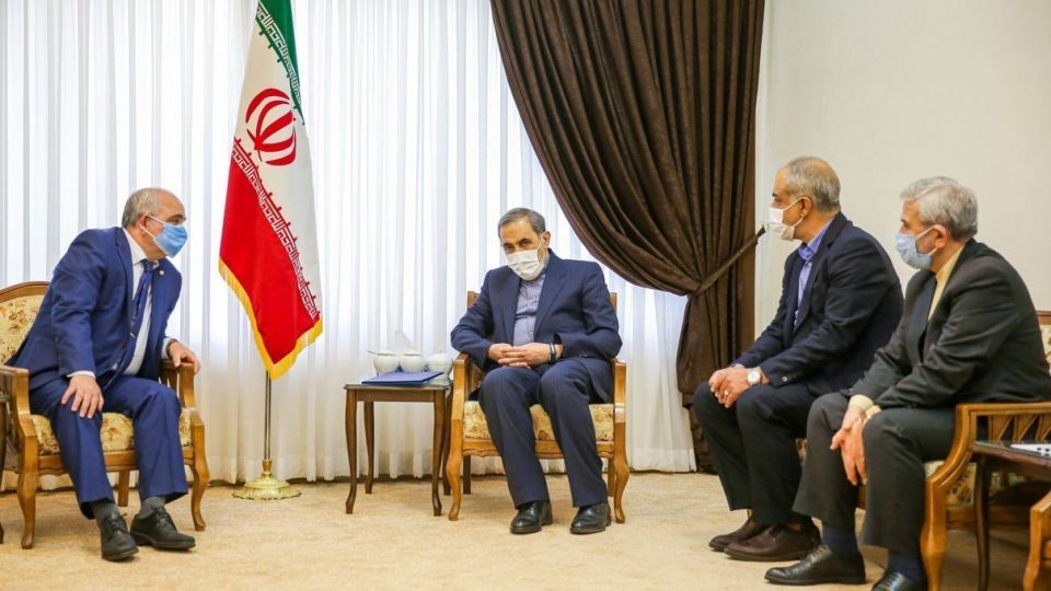 دیدار ولایتی با سفیر روسیه در ایران