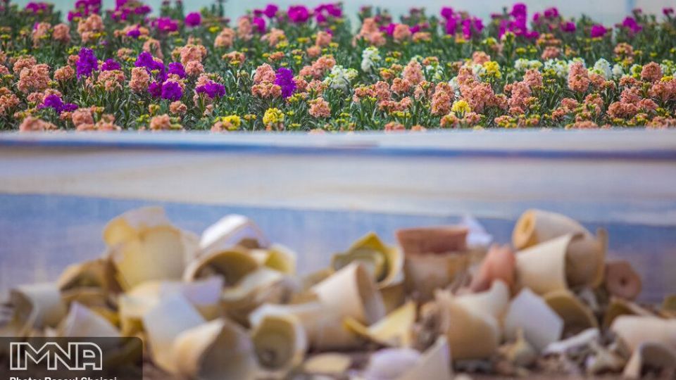 بازار گل شب بو