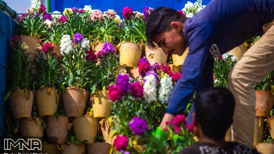 بازار گل شب بو