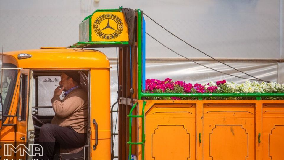 بازار گل شب بو