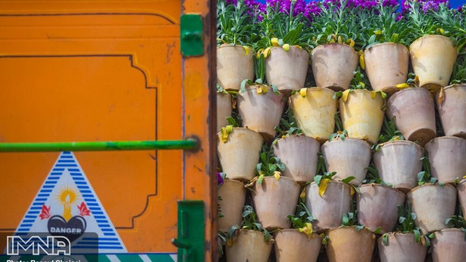 بازار گل شب بو