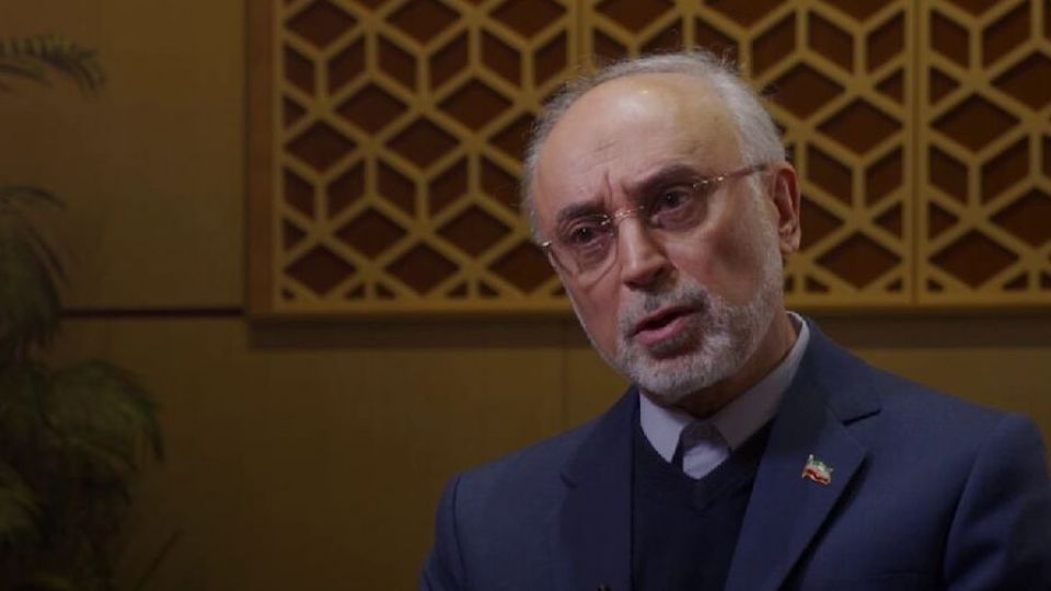 صالحی: فتوای رهبر انقلاب درباره بمب اتم، حرف نهایی است