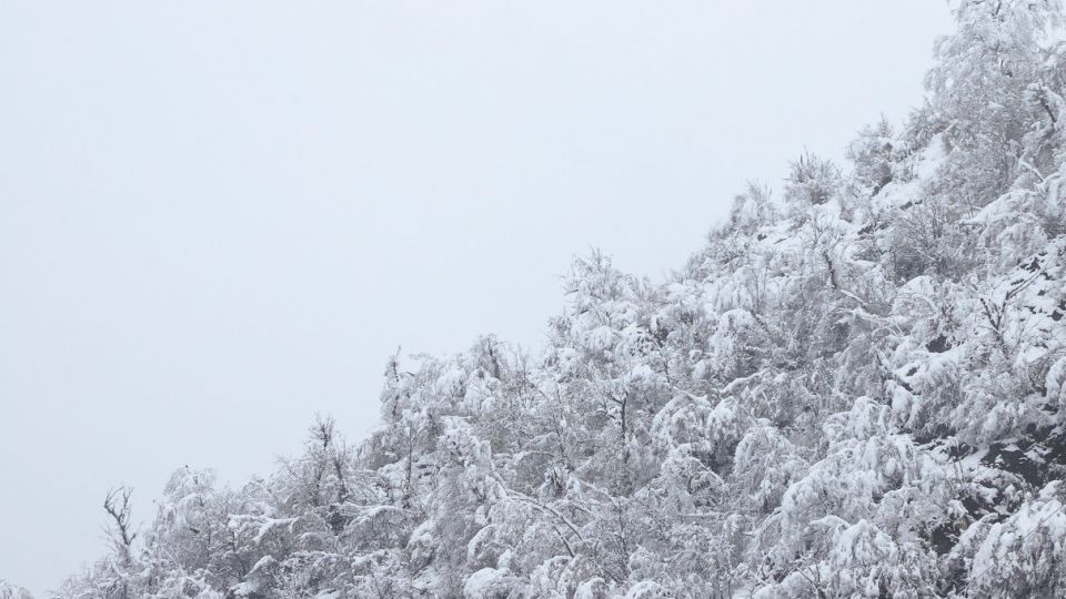 بارش برف در آخرین روز‌های زمستان - گلستان