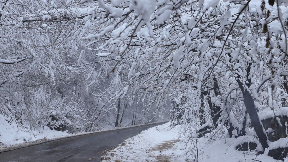 بارش برف در آخرین روز‌های زمستان - گلستان