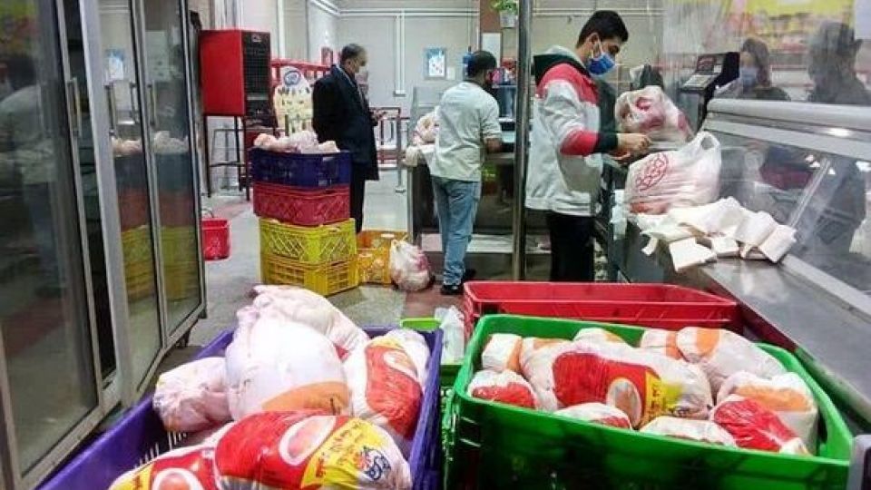 تنظیم بازار مرغ و میوه به کجا رسید؟