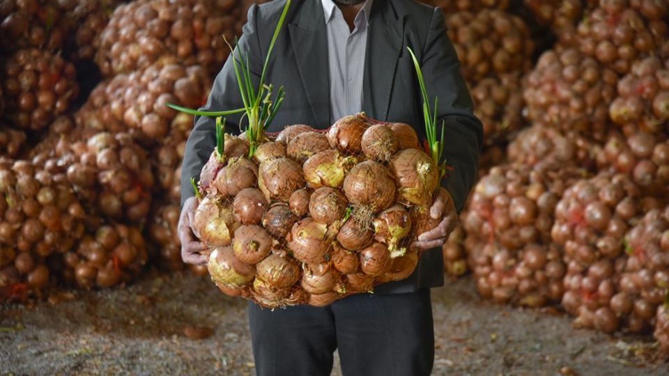 روزگار غمبار پیازکاران زنجانی