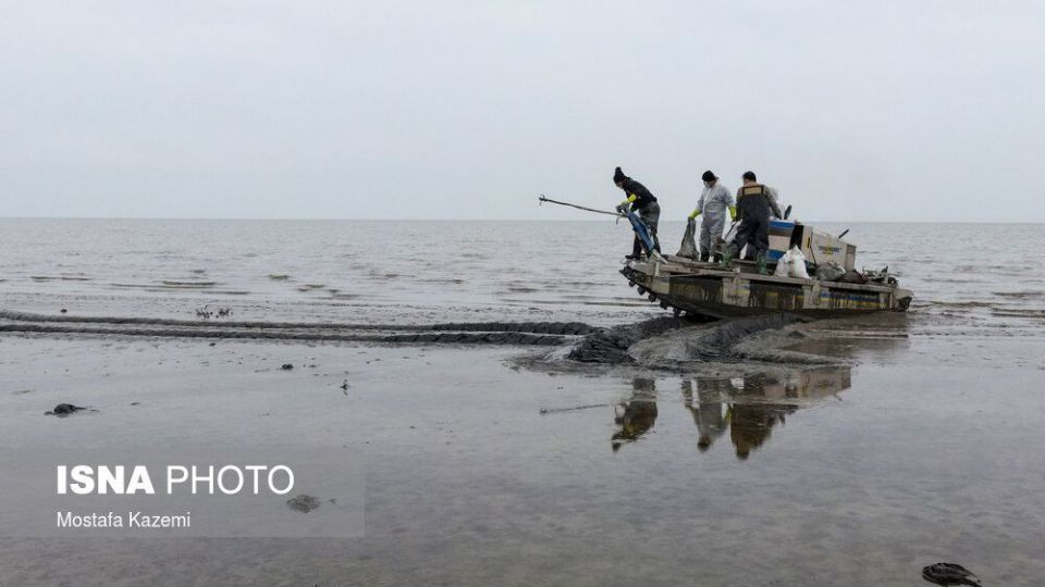 عاقبت پرندگان تالاب «میانکاله» بهشهر