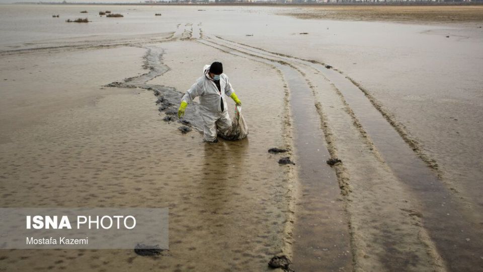 عاقبت پرندگان تالاب «میانکاله» بهشهر