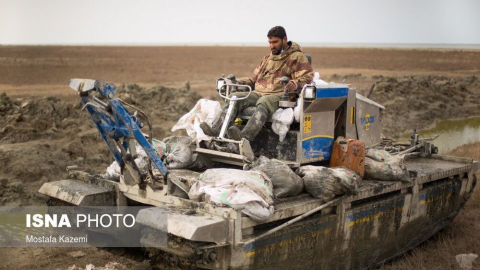 عاقبت پرندگان تالاب «میانکاله» بهشهر