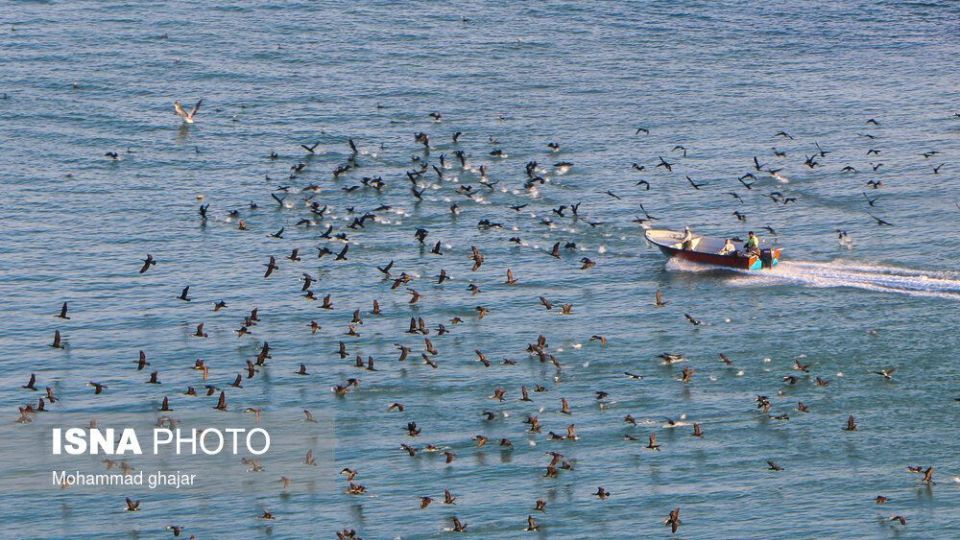 ایران زیباست؛ منطقه بریس چابهار