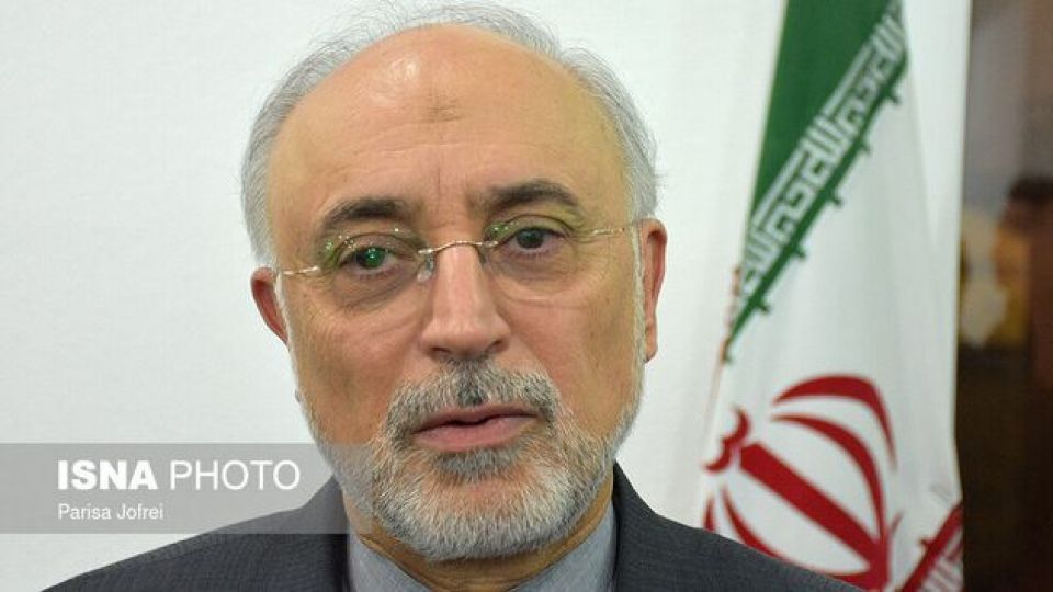 صالحی در کلاب‌هاوس: کل بودجه هسته‌ای، در ۳۰ سال گذشته، ۷ میلیارد دلار شد