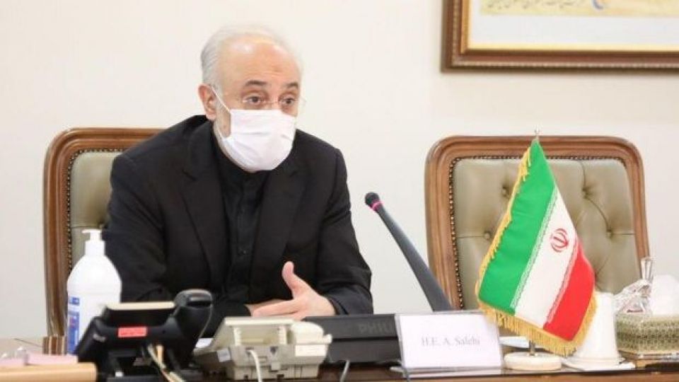 علی‌اکبر صالحی کاندیدای انتخابات می‌شود؟