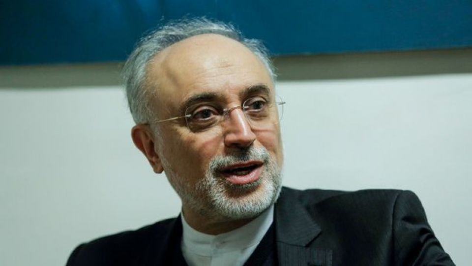 صالحی: اورانیوم ۶۰ درصد ربطی به سوخت راکتور تهران ندارد/ غنی‌سازی در نطنز متوقف نشده است
