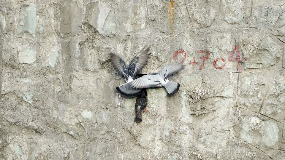 در حاشیه رودخانه