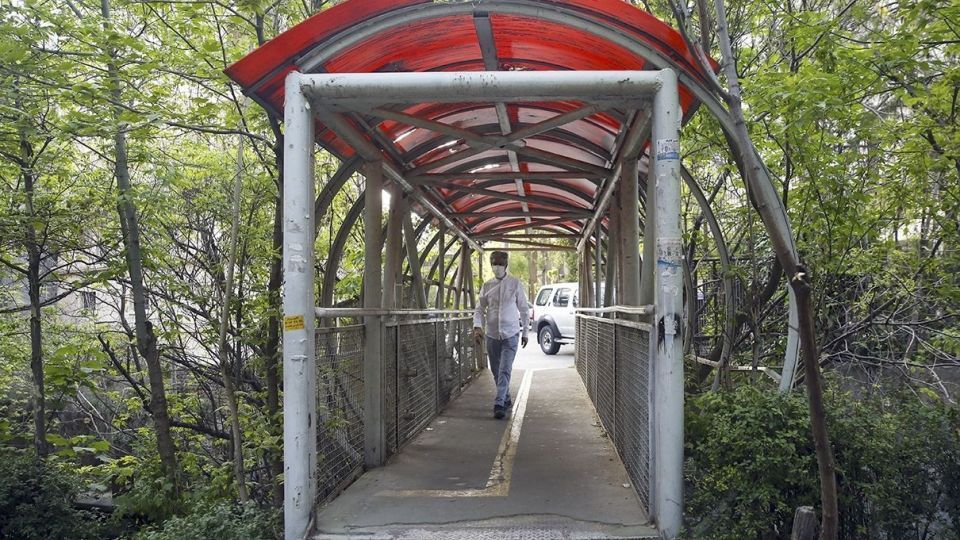 در حاشیه رودخانه