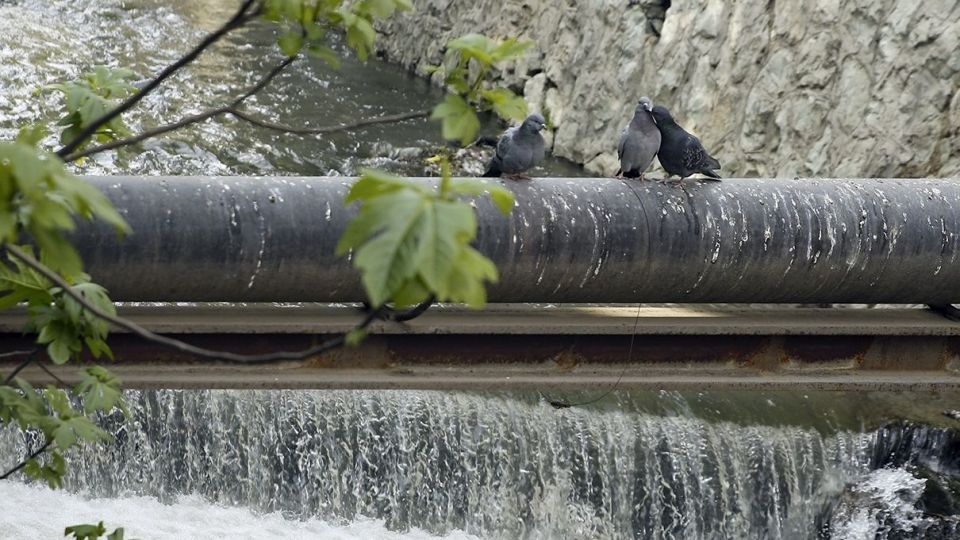 در حاشیه رودخانه