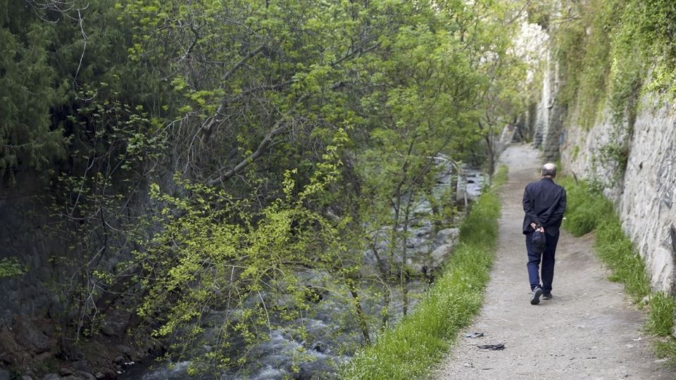 در حاشیه رودخانه