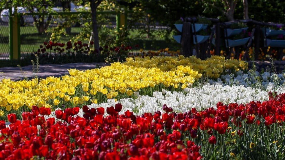 بهار مستعجل - سیستان