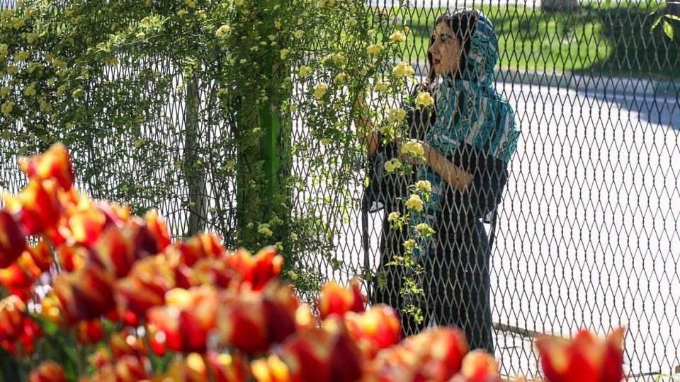 بهار مستعجل - سیستان