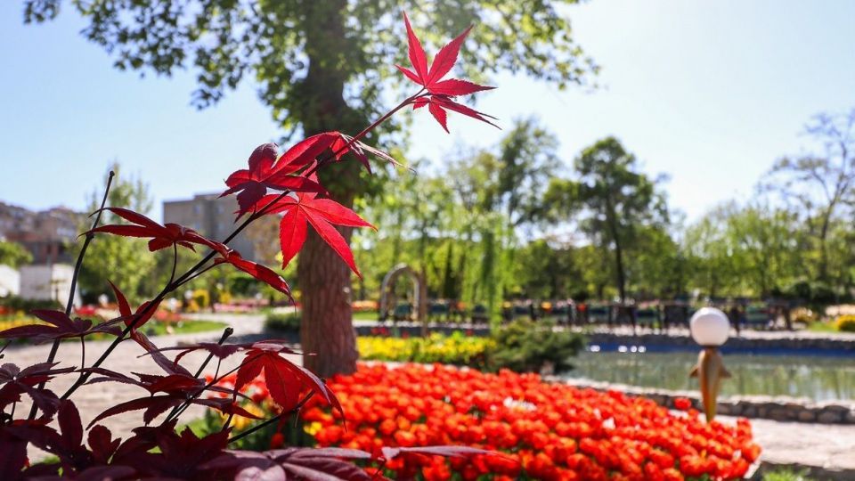 بهار مستعجل - سیستان