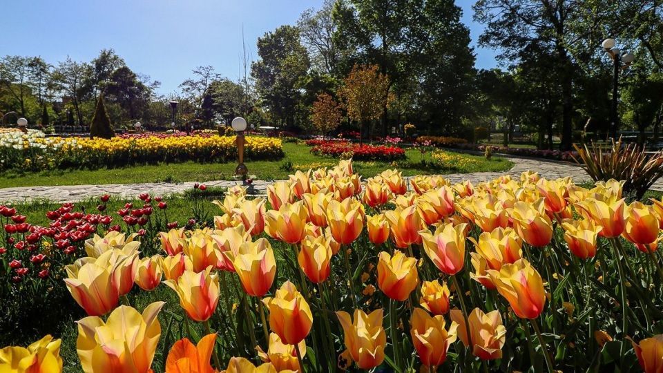 بهار مستعجل - سیستان