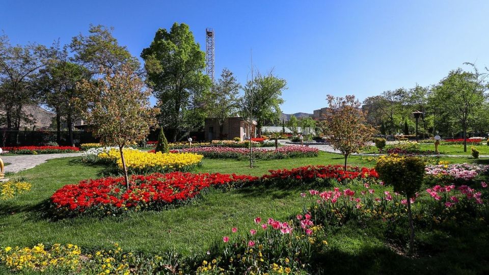 بهار مستعجل - سیستان