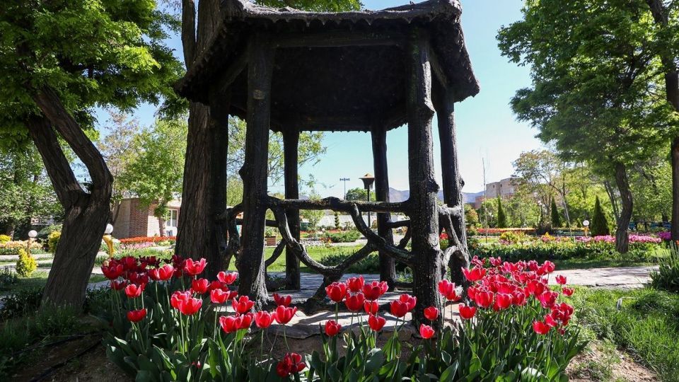 بهار مستعجل - سیستان