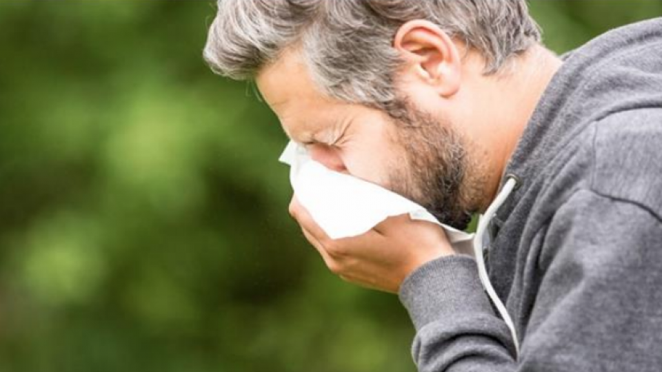 آلرژی بهاری را چگونه درمان کنیم؟ آلرژی بهاری را چگونه درمان کنیم؟