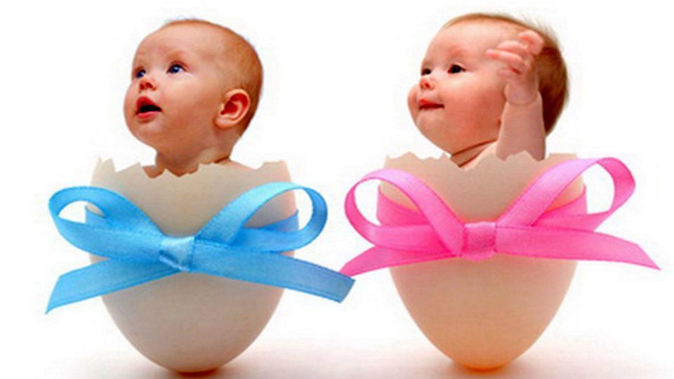 آیا می‌توانیم «جنسیت» فرزند را انتخاب کنیم؟