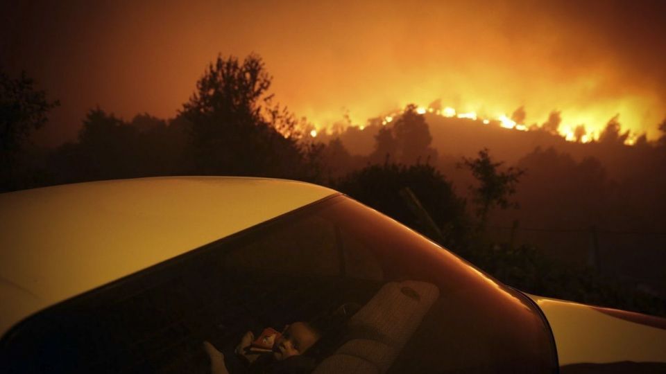 تصاویر برگزیده مسابقه عکاسی ورد پرس ۲۰۲۱