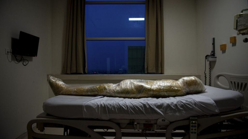 تصاویر برگزیده مسابقه عکاسی ورد پرس ۲۰۲۱