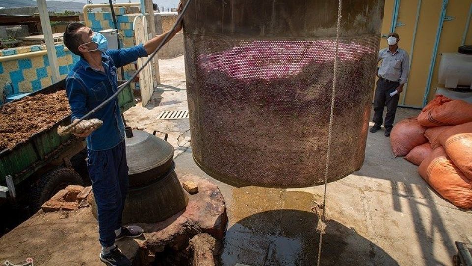 رسم کهن گلابگیری در میمند فارس