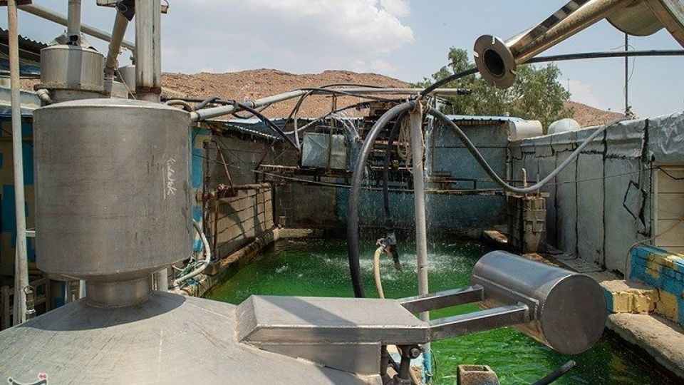 رسم کهن گلابگیری در میمند فارس