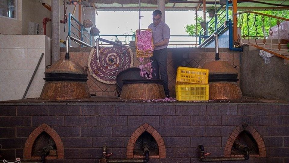 رسم کهن گلابگیری در میمند فارس