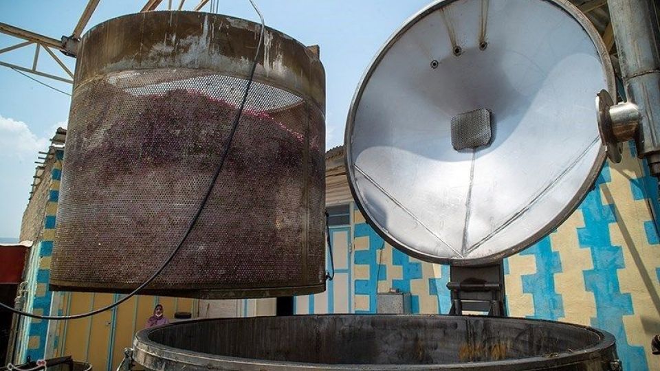 رسم کهن گلابگیری در میمند فارس