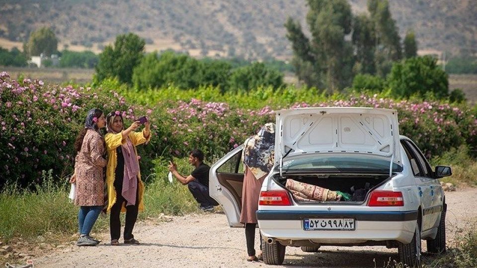 رسم کهن گلابگیری در میمند فارس