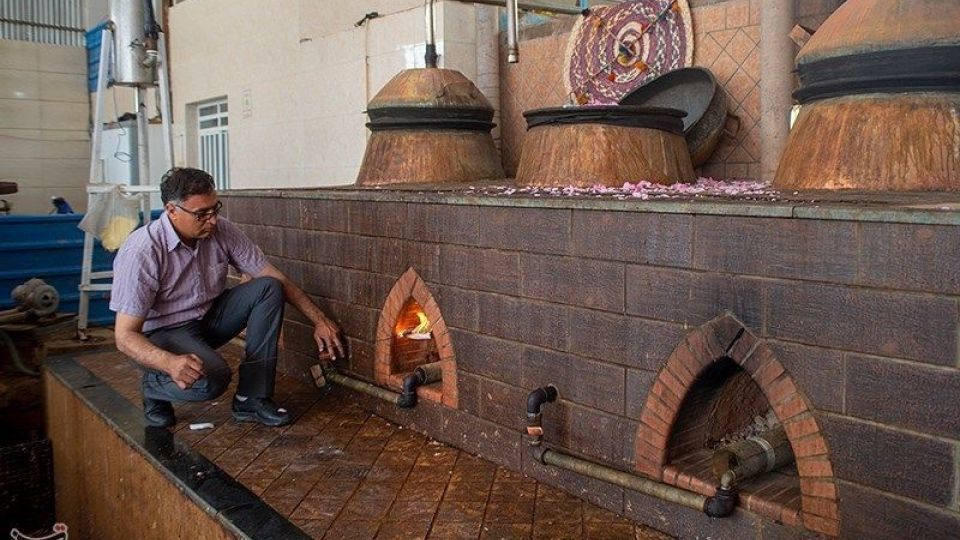 رسم کهن گلابگیری در میمند فارس