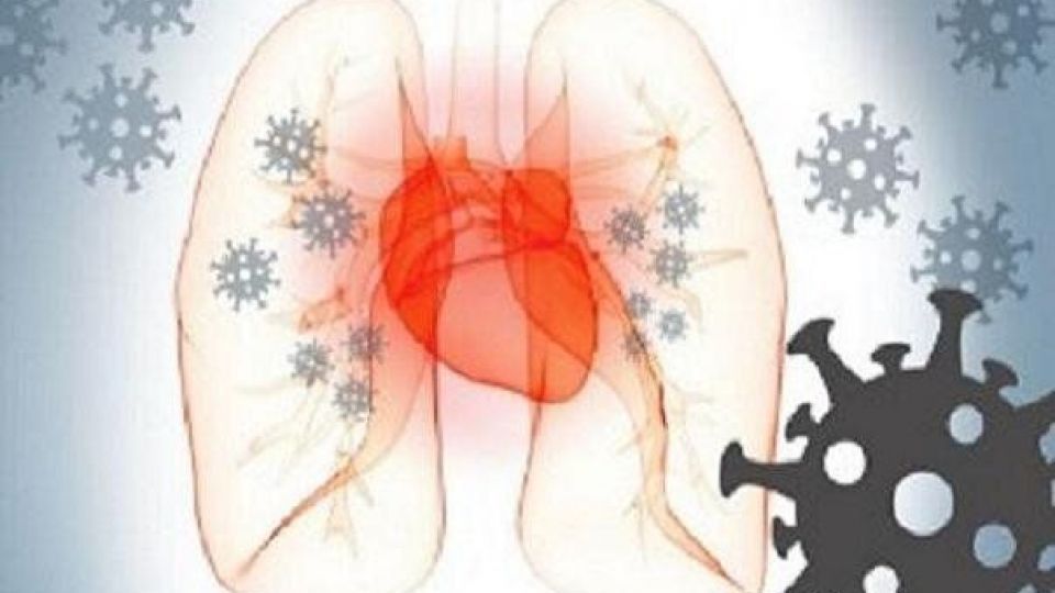 کشف جدید از تاثیر کووید ۱۹ بر قلب