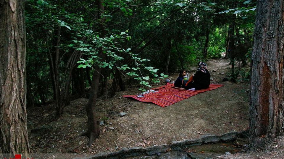 شلوغی پارک جمشیدیه در پیک چهارم کرونا