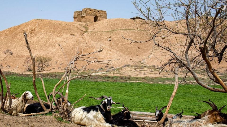 آتشکده «بهرام ری» جاذبه تاریخی تهران