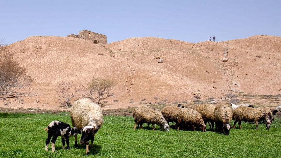 آتشکده «بهرام ری» جاذبه تاریخی تهران