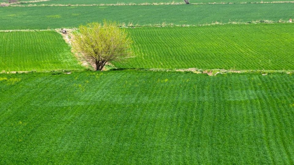 آتشکده «بهرام ری» جاذبه تاریخی تهران