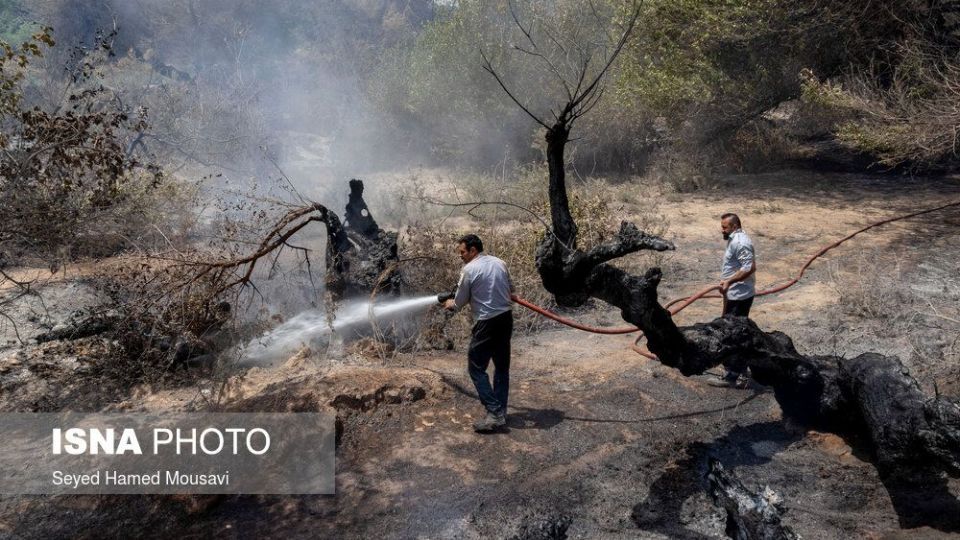 مهار آتش سوزی جنگل کرخه در شوش