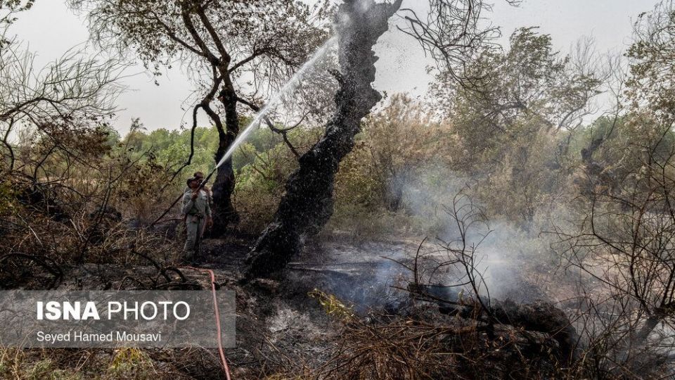 مهار آتش سوزی جنگل کرخه در شوش
